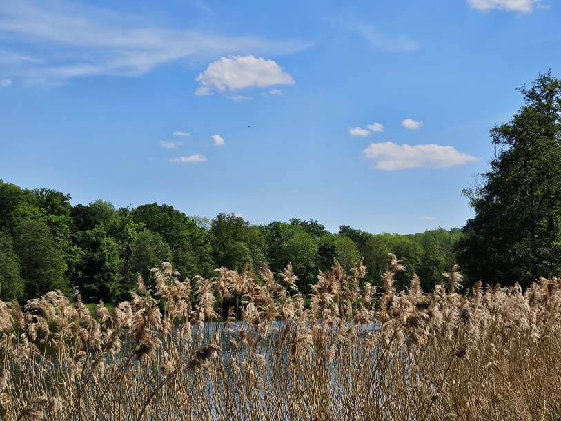 Boucle en Forêt de Montmorency