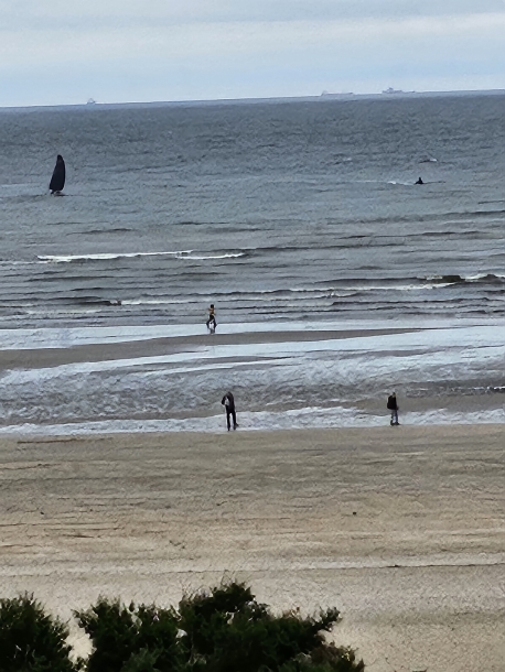 Voyage en train historique Paris / Deauville-Trouville